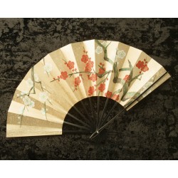 Hand Fan